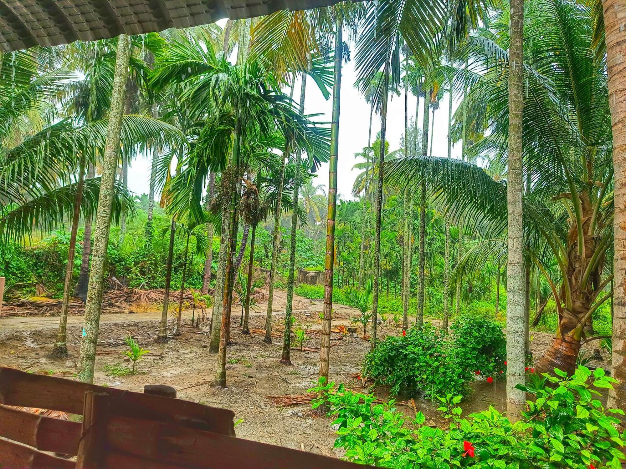 Shivalaya Farmstay Located Amdist Coconut Farm With River Access Near Isha,Adiyogi,Siruvani Alāndurai Exterior foto