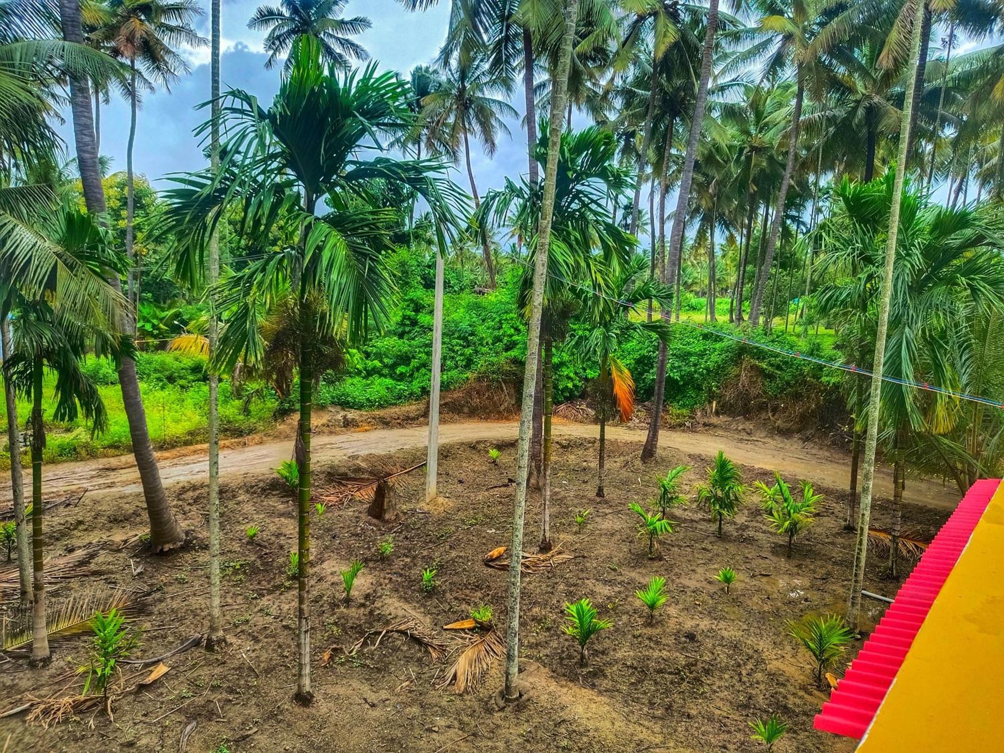Shivalaya Farmstay Located Amdist Coconut Farm With River Access Near Isha,Adiyogi,Siruvani Alāndurai Exterior foto