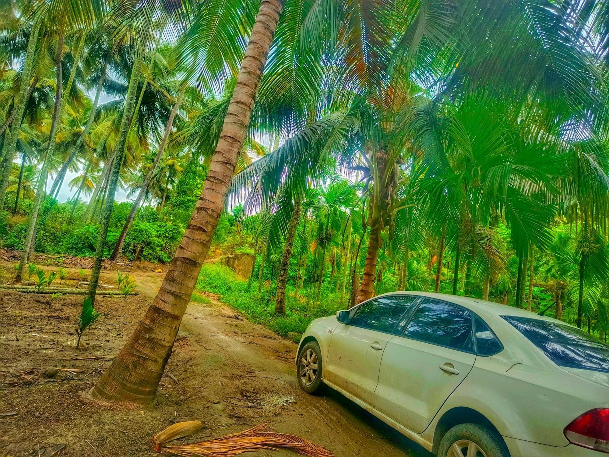 Shivalaya Farmstay Located Amdist Coconut Farm With River Access Near Isha,Adiyogi,Siruvani Alāndurai Exterior foto